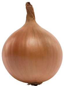 Broer BV onion sets