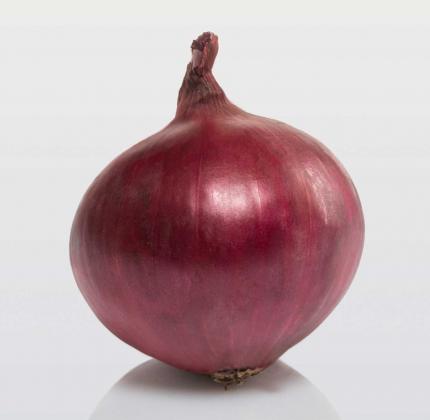 Karmen - onion set variety