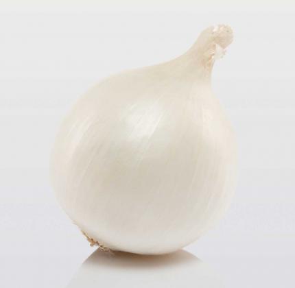 Snowball - onion set variety