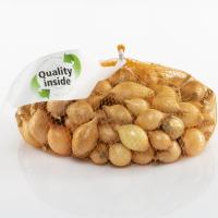 Organic Quality inside onion sets